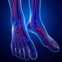 Symptoms of Poor Circulation